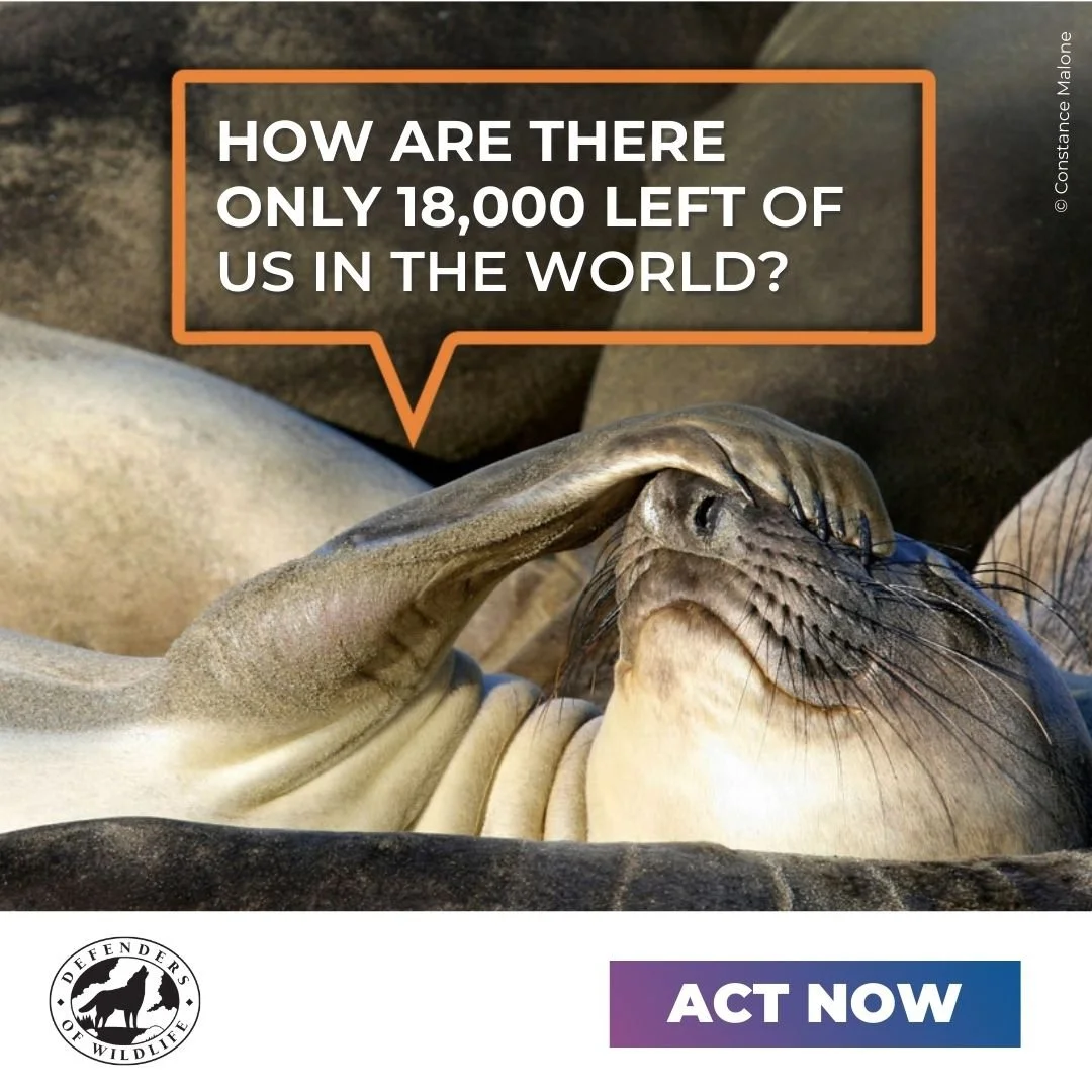 DOW_Static-Ad-FINALS (2).jpg