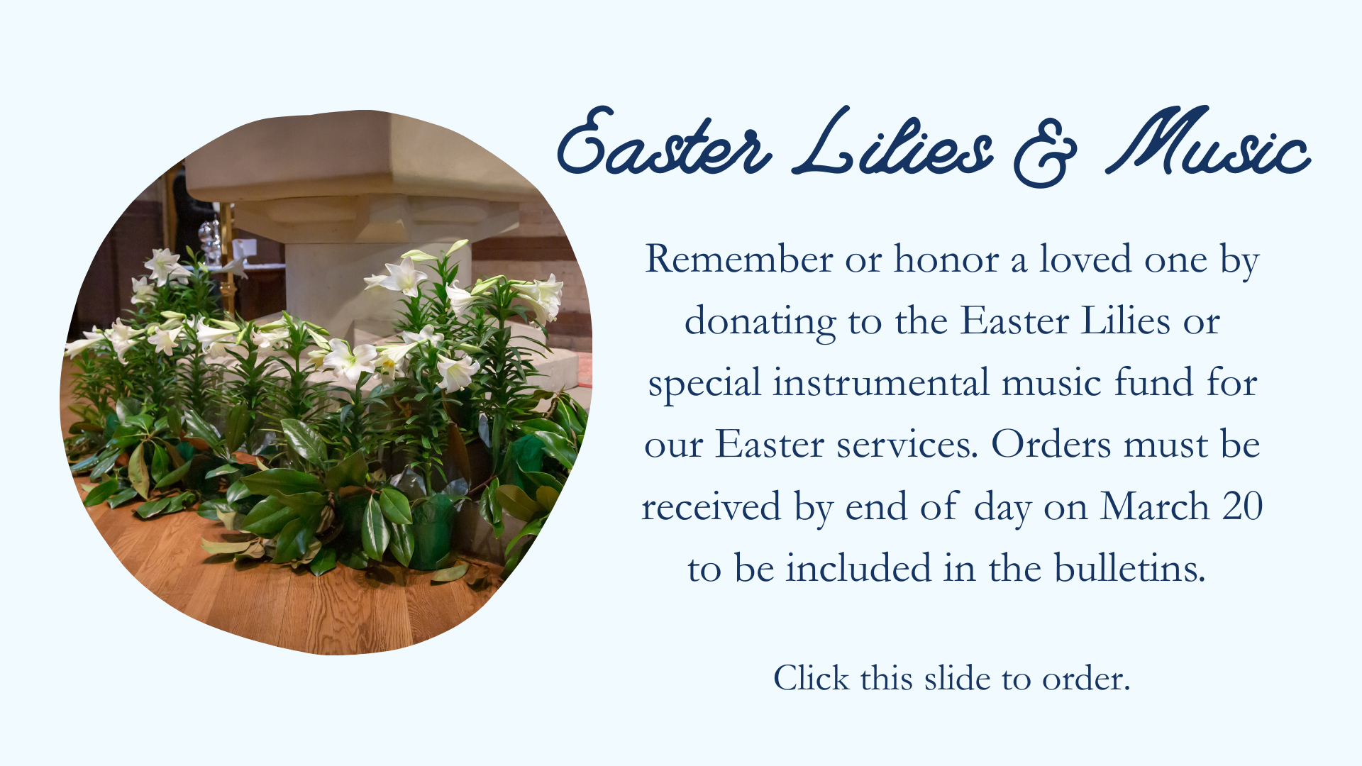 12.22.24 Website Announcements-82.png