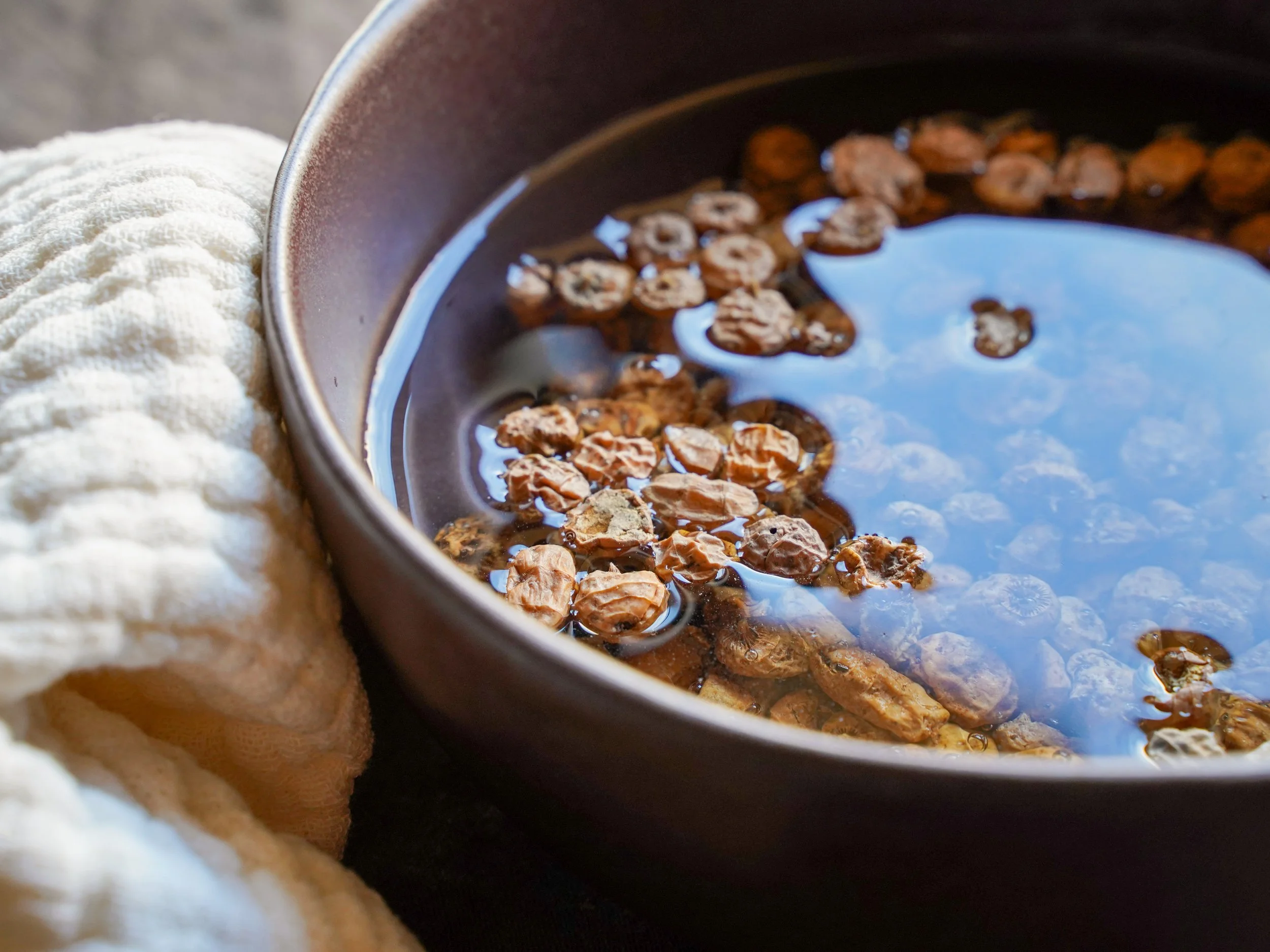 Für die Horchata de Chufa müssen die Erdmandeln eingeweicht werden
