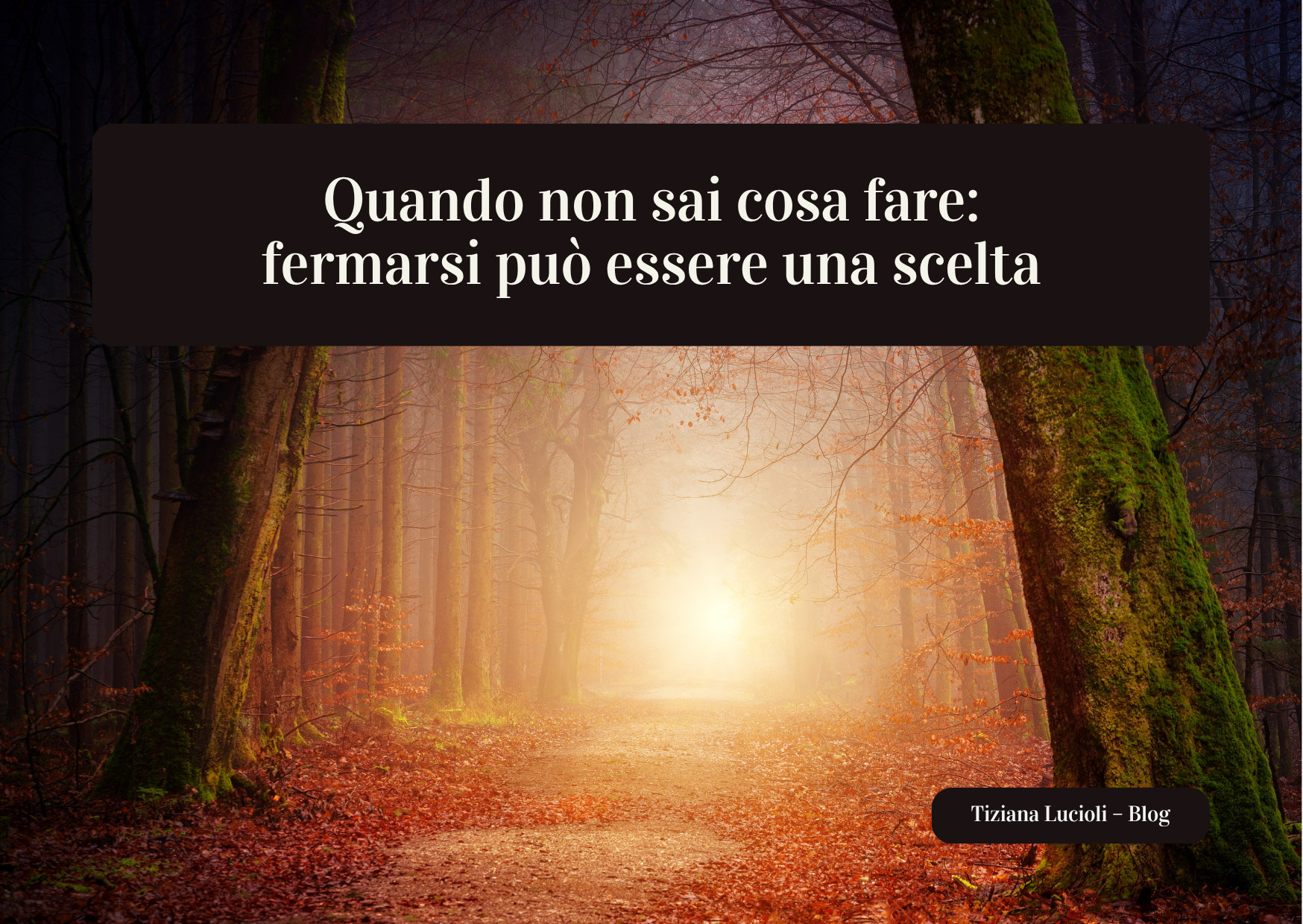 Quando non sai cosa fare: fermarsi può essere una scelta