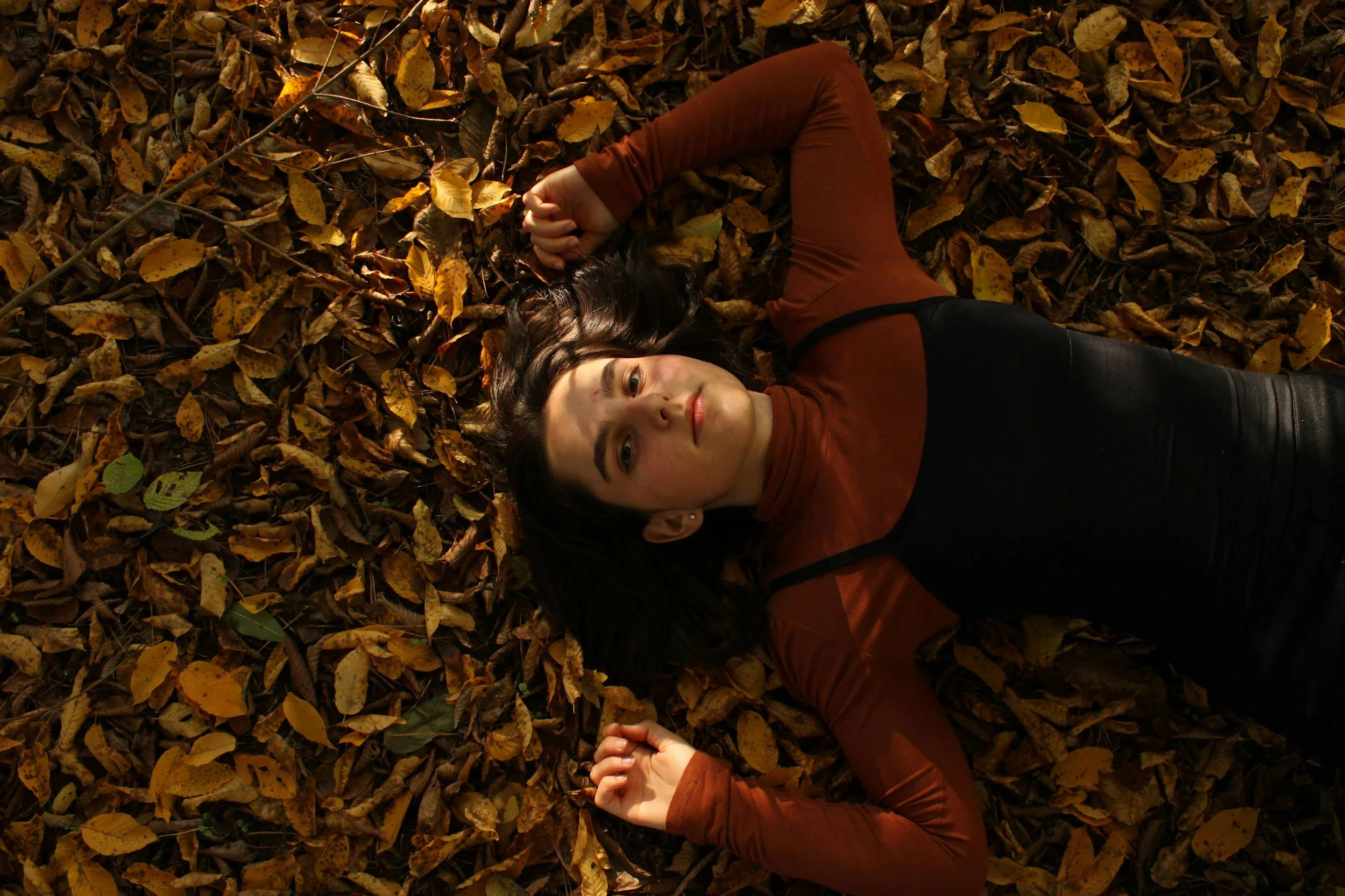 When It’s Not “Just Seasonal”: SAD vs. Burnout vs. Depression (Through an IFS, Sensorimotor, and EMDR Lens)