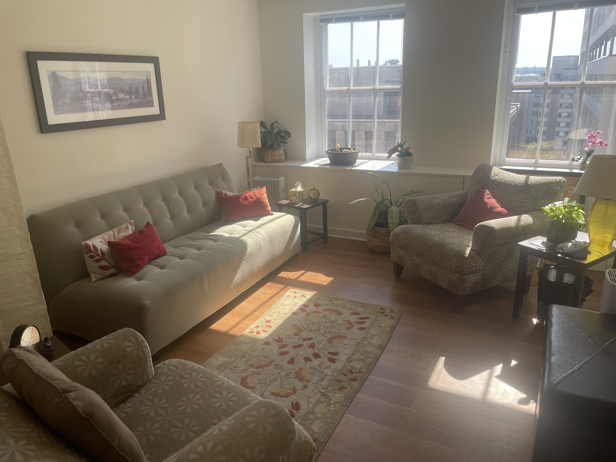 trauma therapy Washington DC