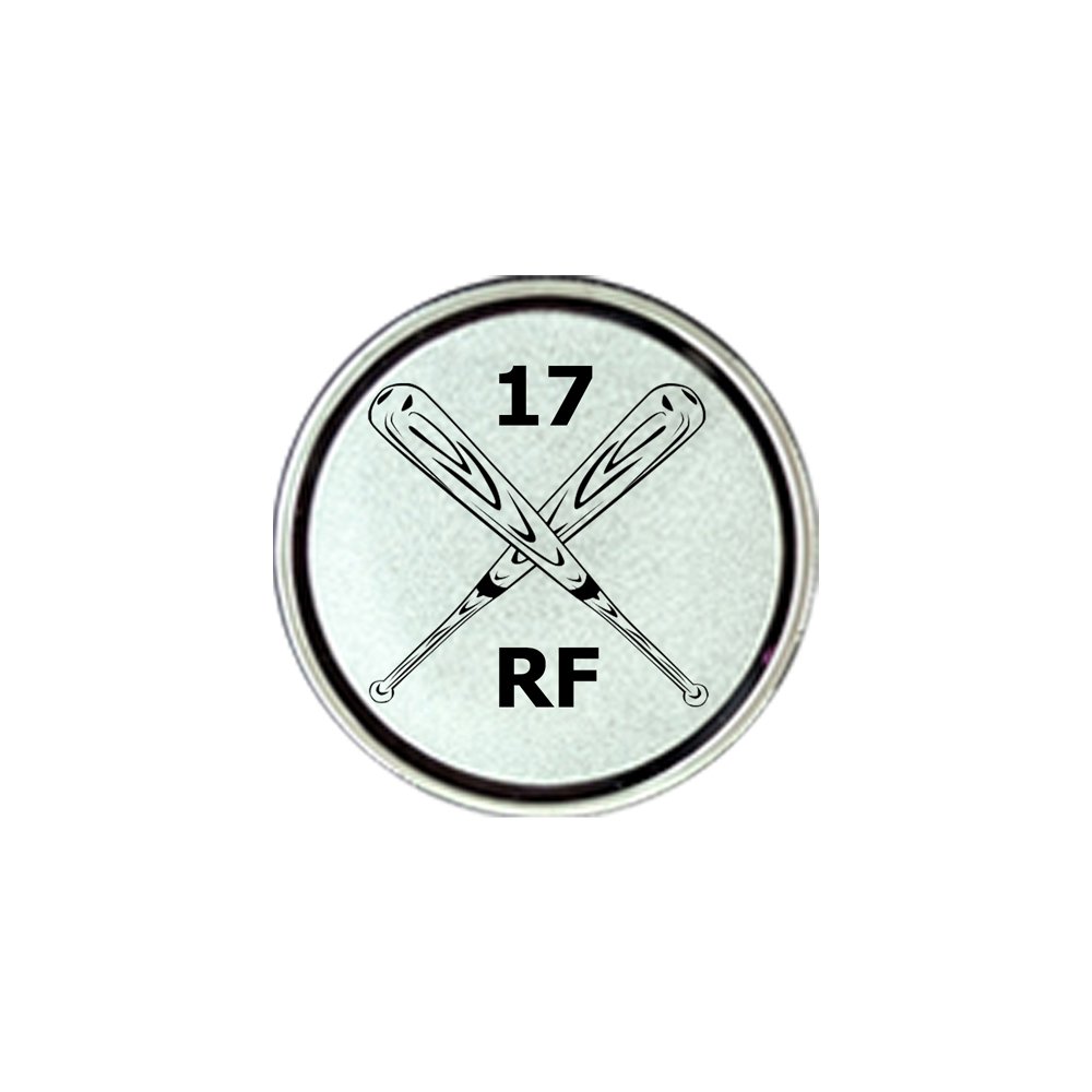 Baseball Series 2c Silver.jpg