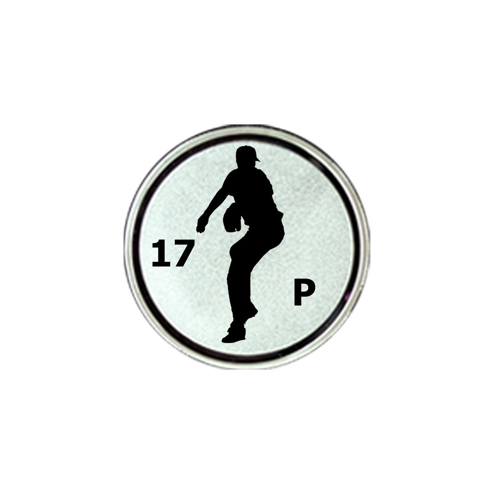 Baseball Series 2c Silver.jpg