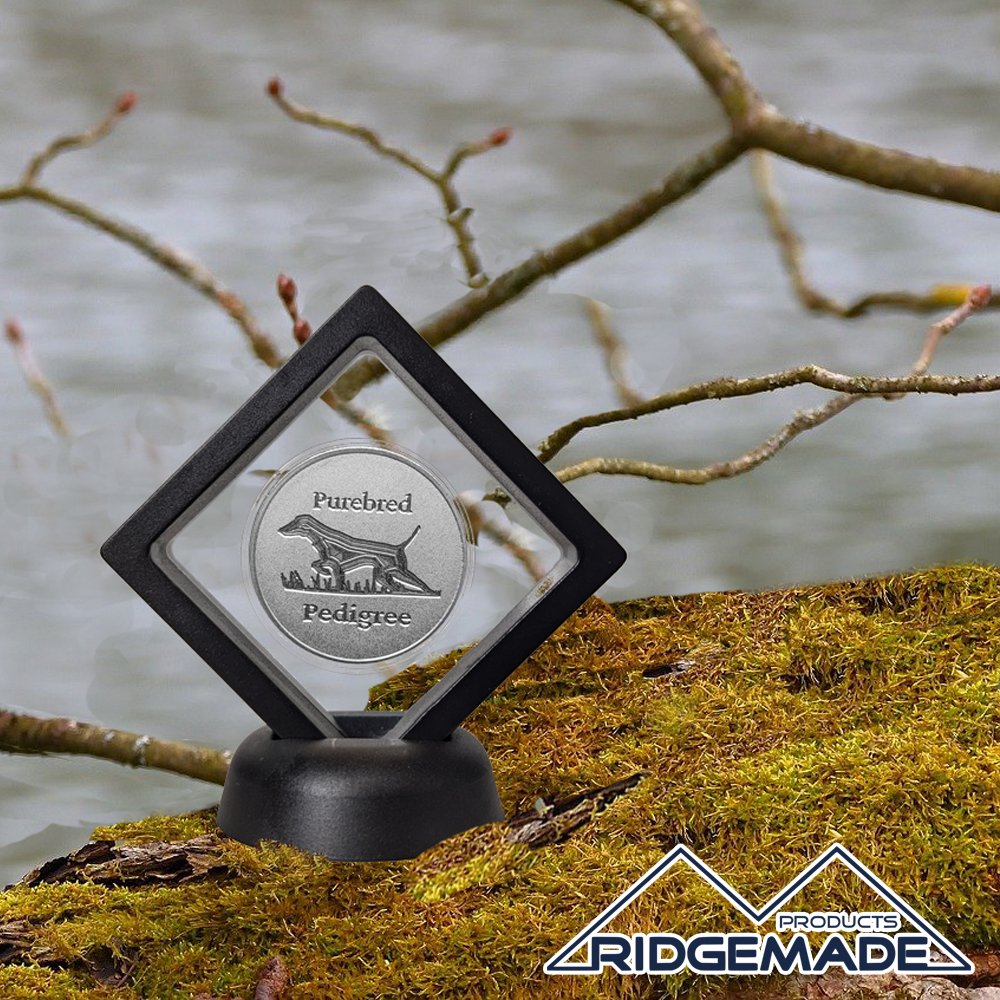 Bird Dog Series 1 Black and Silver.jpg