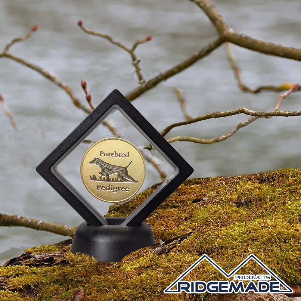 Bird Dog Series 1 Black and Gold.jpg