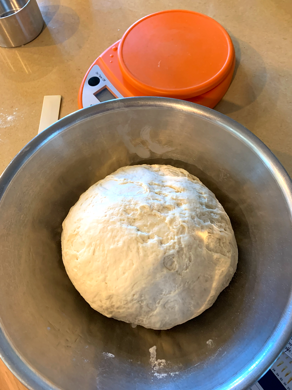 potsticker+dough.png