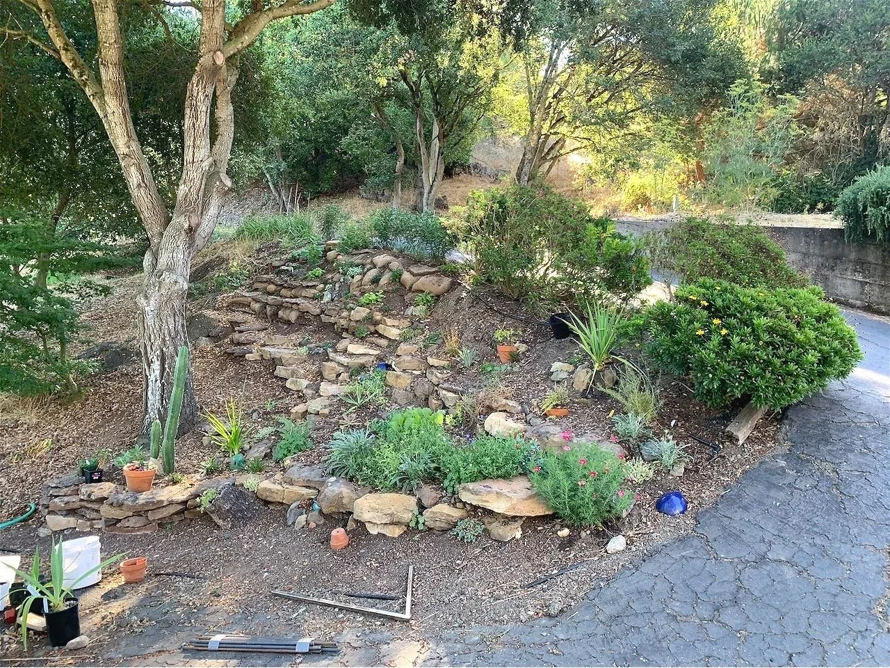 Though much of it did move over time, the stone placement did allow me to walk/climb along to access higher plantings...