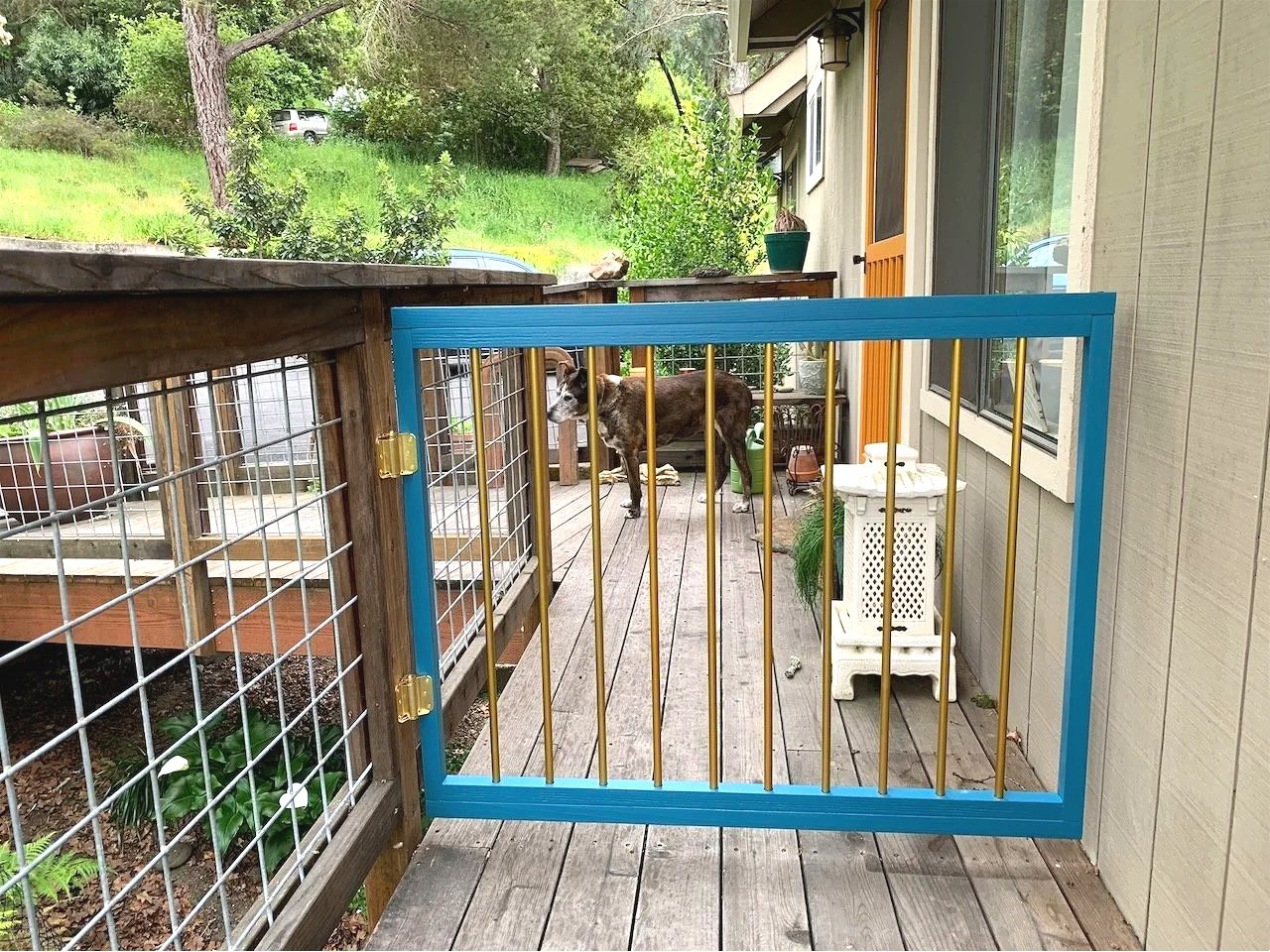 The keep-the-dog-on-the-deck gate...