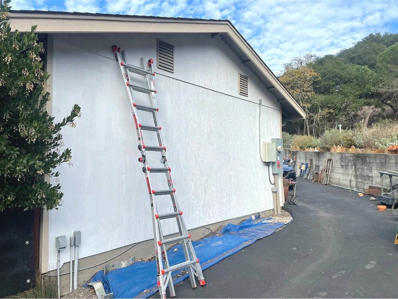 After a sun-drenched garage wall had to be replaced I decided - just paint? no!  a mural...