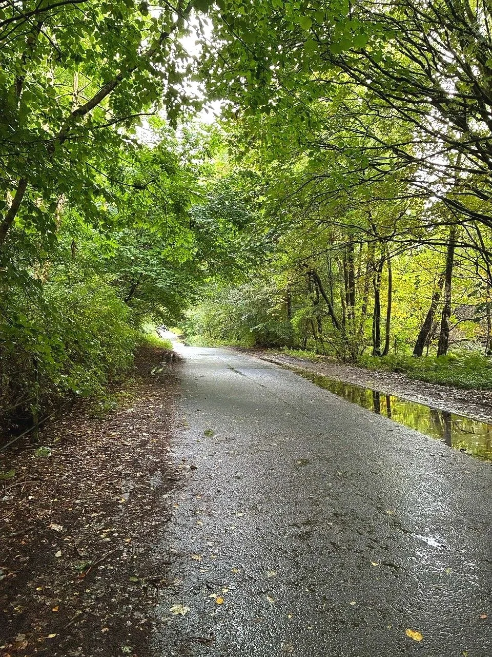 ...taking a path from the station to the loch