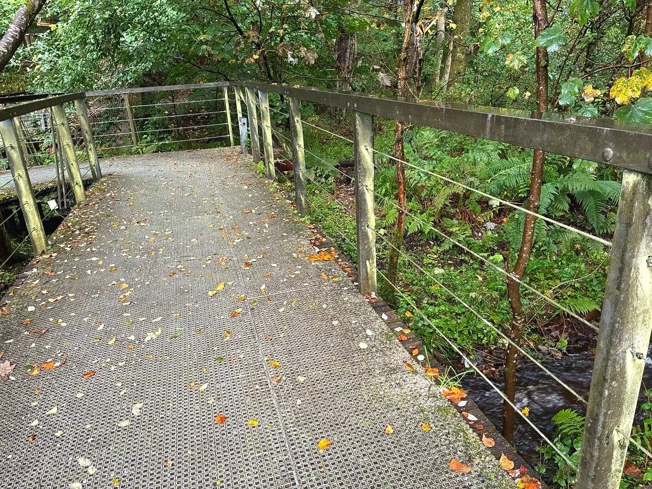...the trail must be used quite a bit; creek crossings and other areas are "paved"