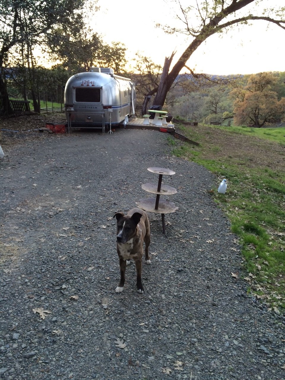 During construction the Airstream was the only kitchen, and bedroom until the studio was completed...