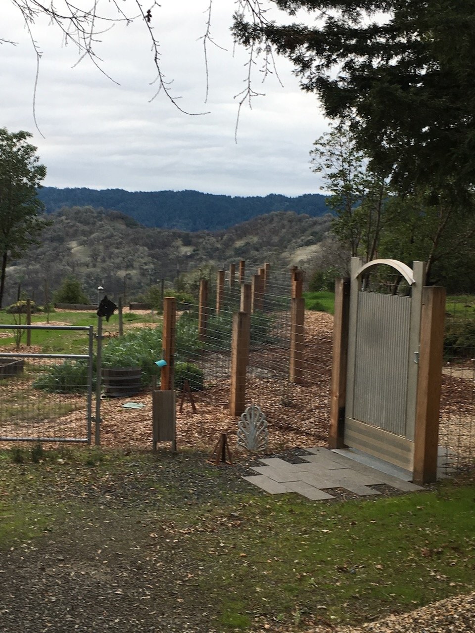 McNab garden gate side.jpeg