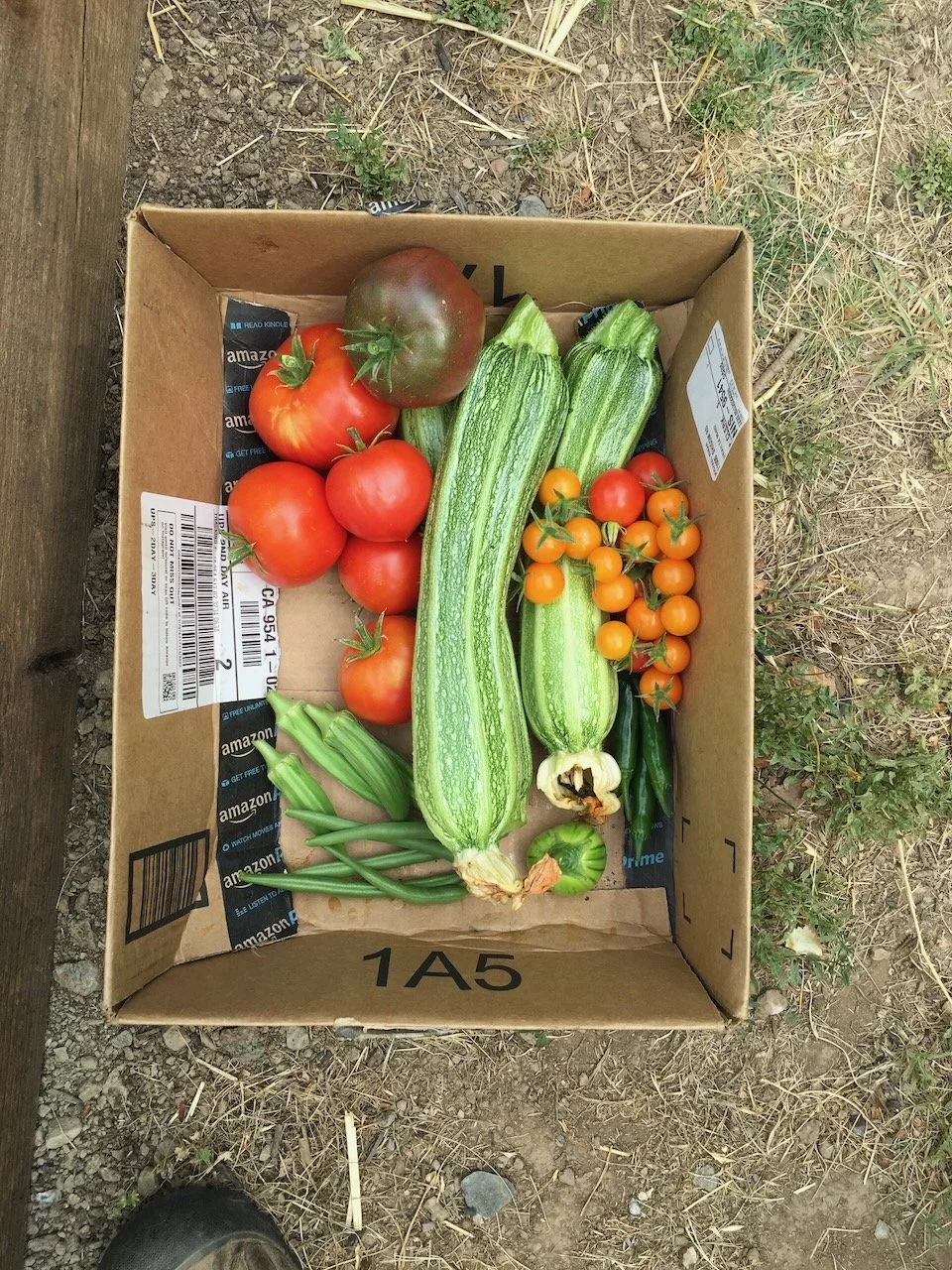 Fruits and vegetables of my labor...