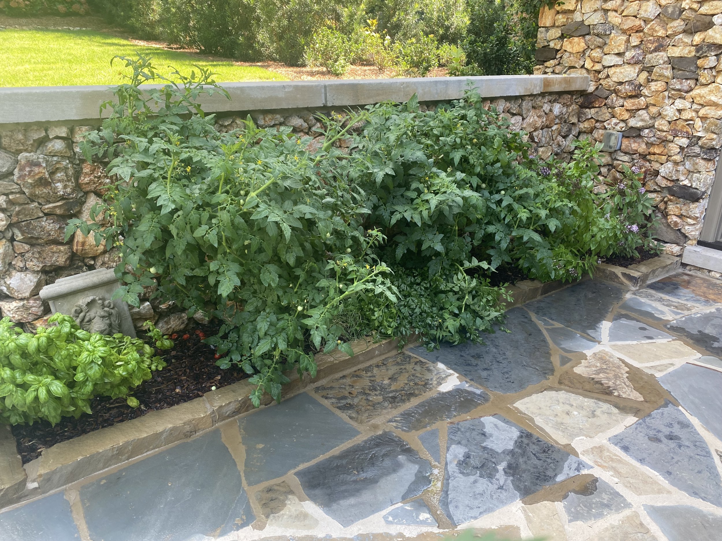 Kitchen Garden.jpg