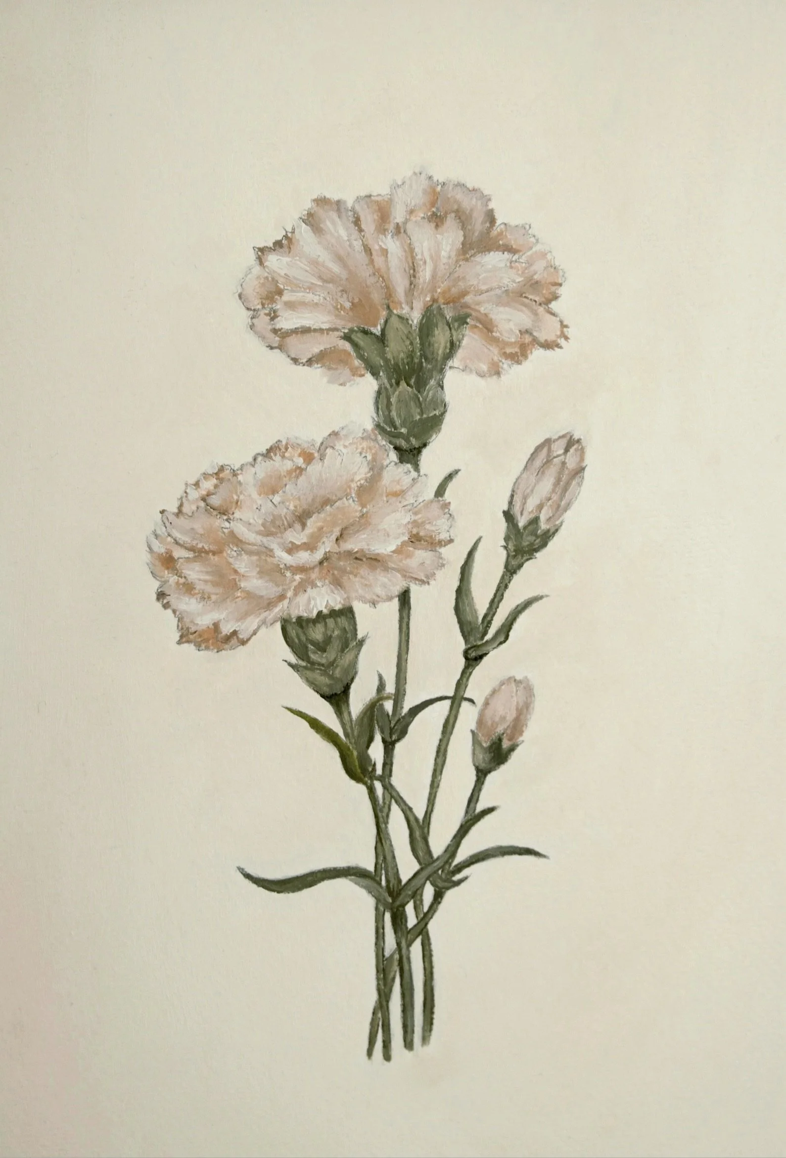 Carnation No. I