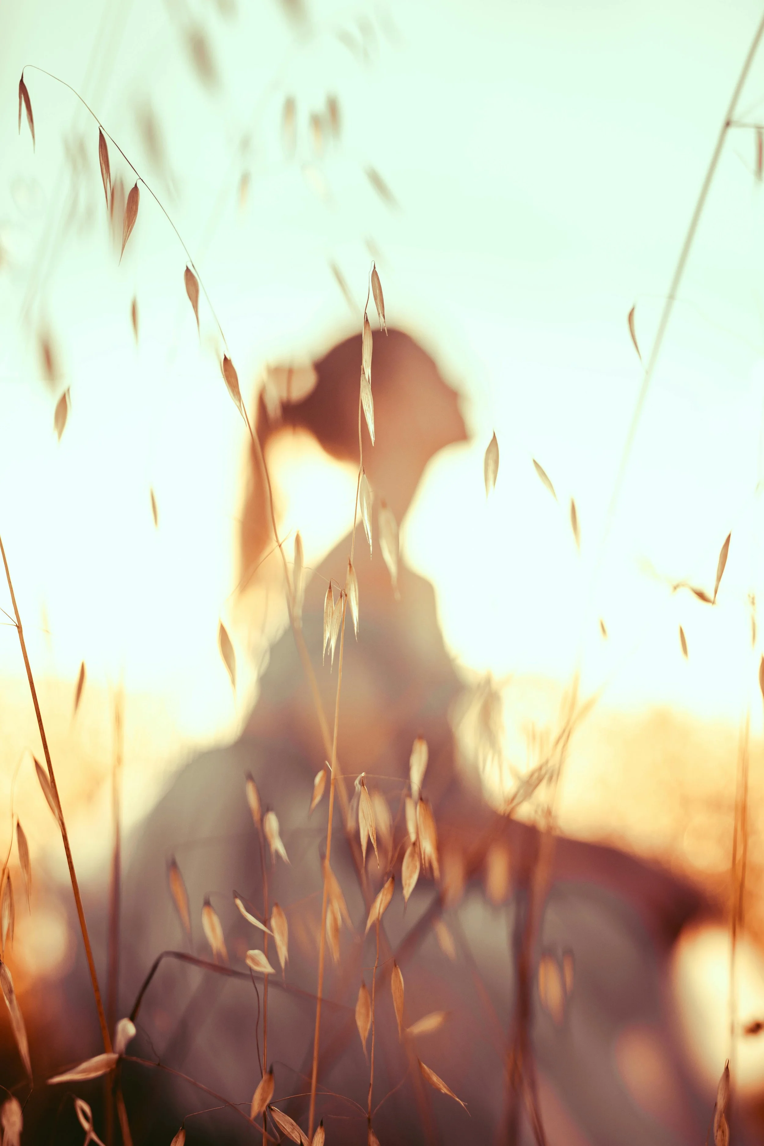 A person standing in a wheat field during sunset, with their silhouette visible through the wheat stalks.
