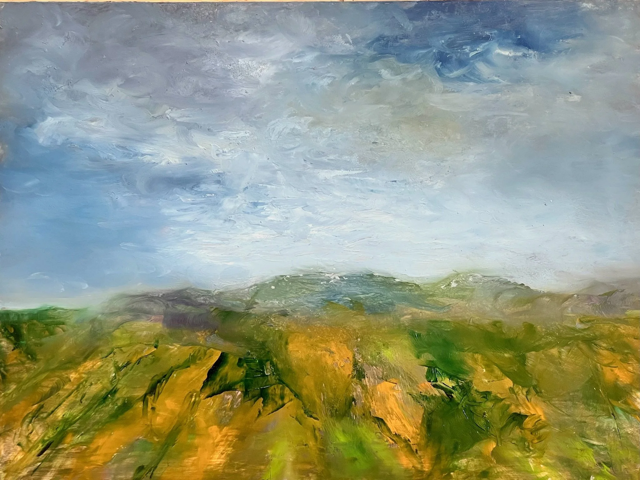 22a. Hillside Fields, oil on dense card framed, £290