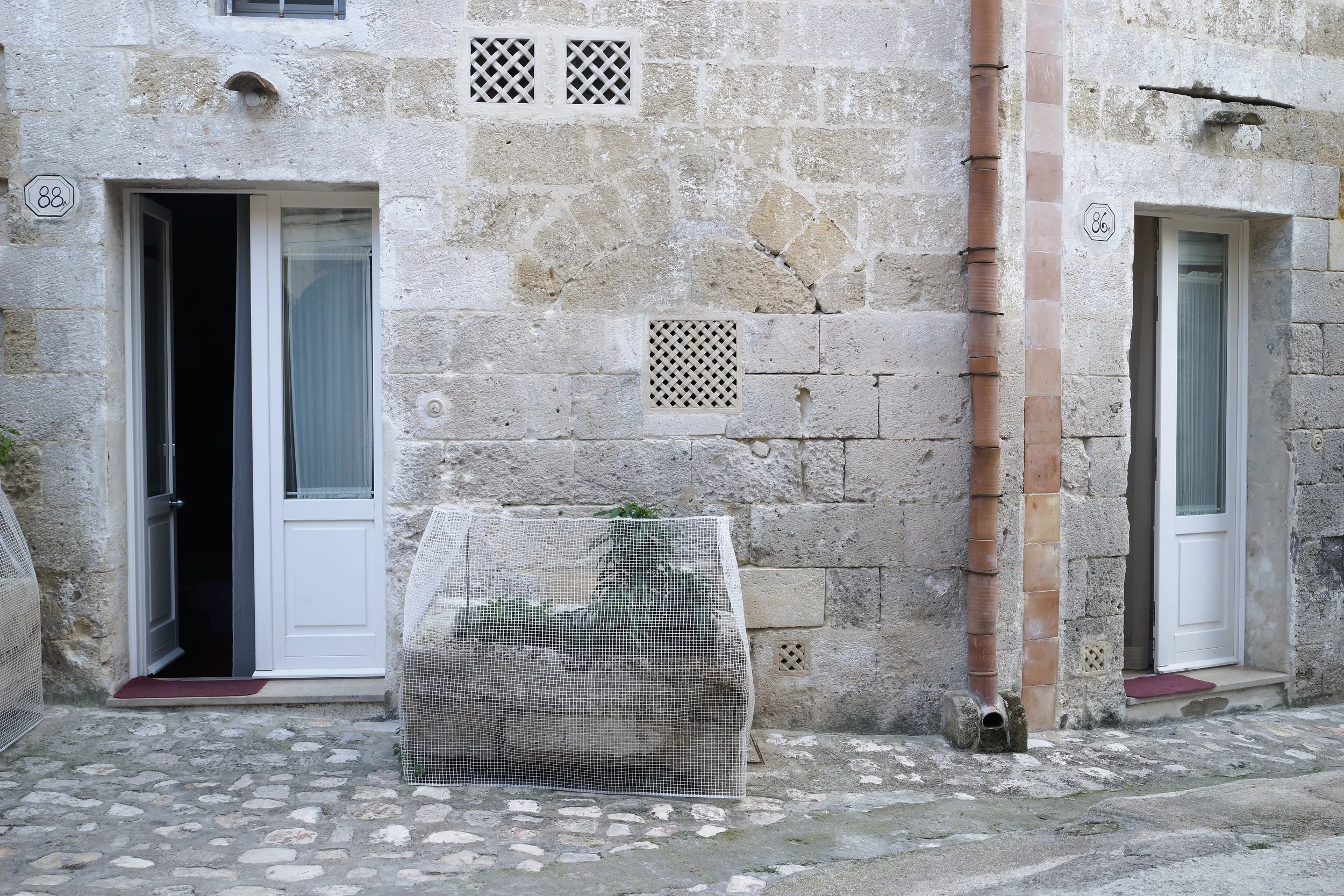 Facciata di un edificio con due porte in vetro e una pianta protetta da una rete metallica. Il muro è in pietra e ci sono due piccole griglie di ventilazione.