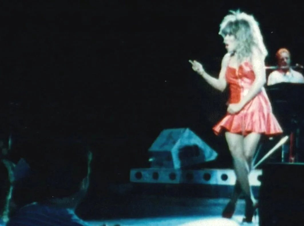 Tina Turner concert scene from queer coming-of-age memoir Another Generation Ruined