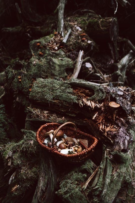 Microdosing Mastery