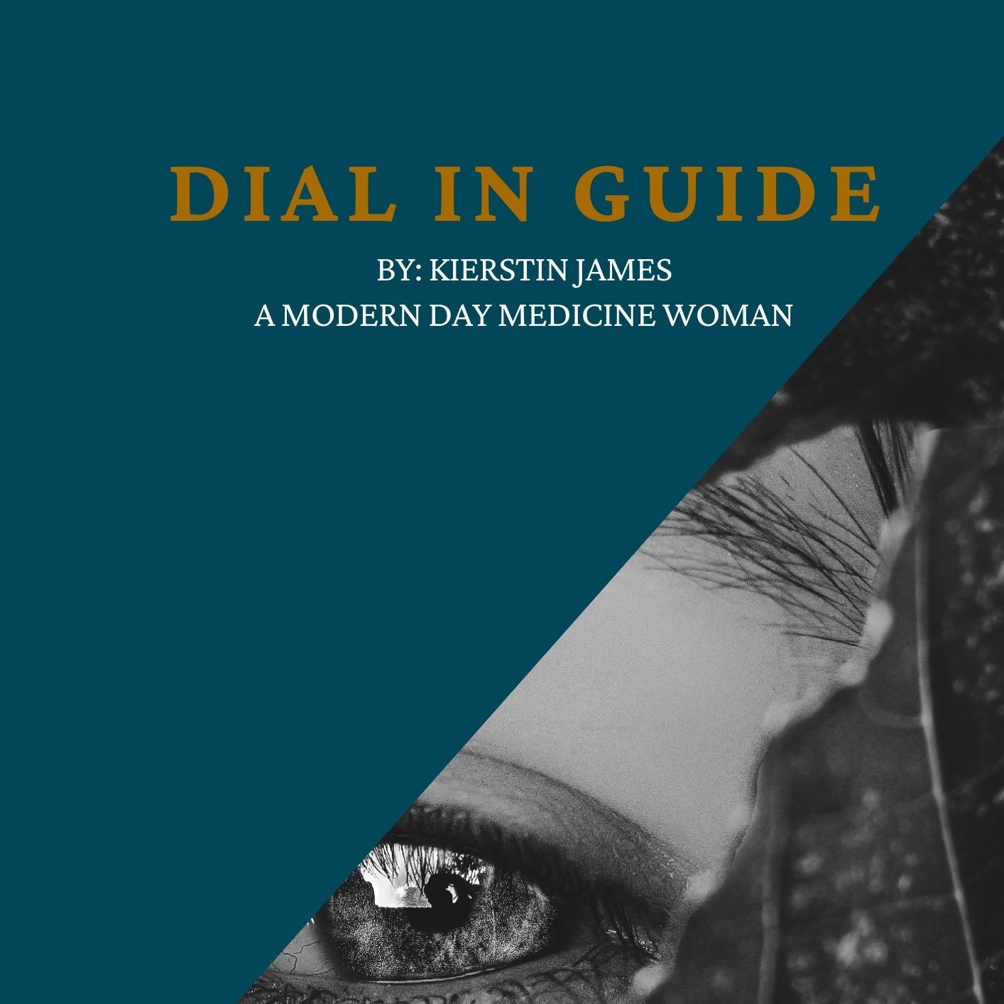 Dial%2BIn%2BGuide.jpg
