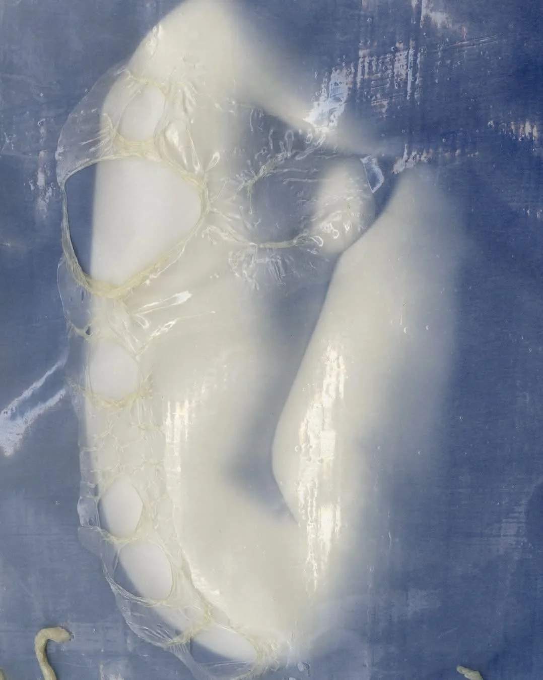Part of 'Inherited Bodies' series (2025), Megan Kyte