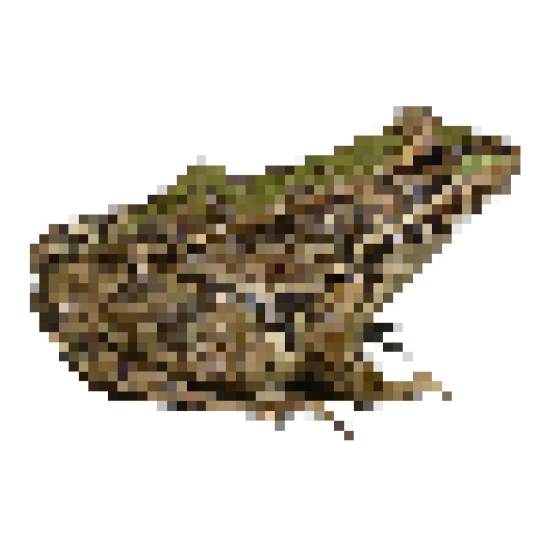 Photoroom_20250727_220500 2.JPEG