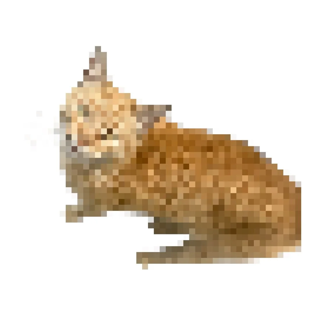 Photoroom_20250727_220432 2.JPEG