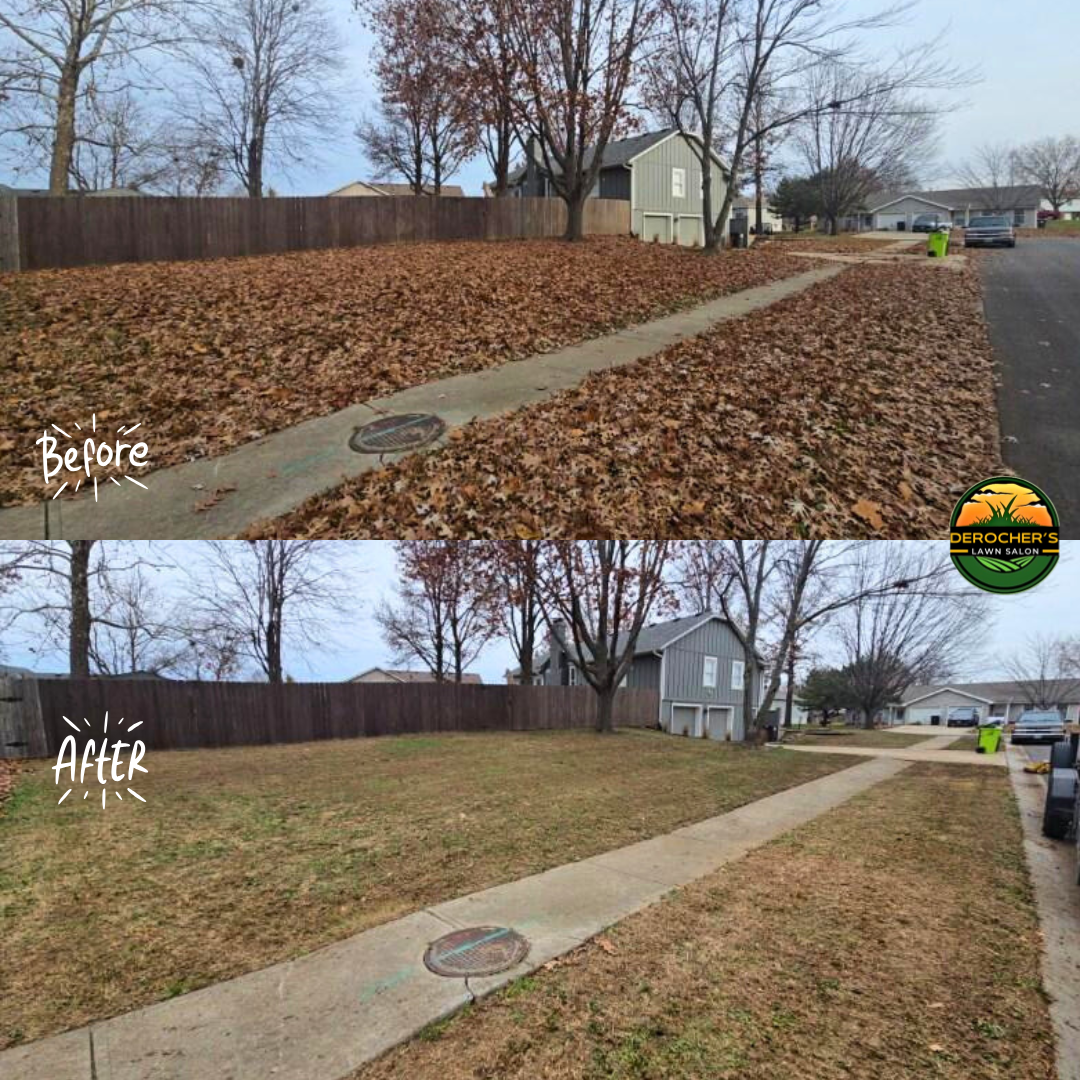 Before and after images of a yard; the top photo shows a yard covered with fallen leaves, while the bottom photo shows the same yard after leaves have been cleared, revealing a clean grass lawn and sidewalk.