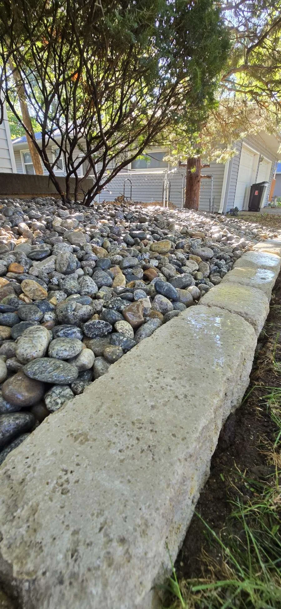 A landscaped yard with a concrete border, rocks covering the ground, a bush, and trees in the background in front of a house.