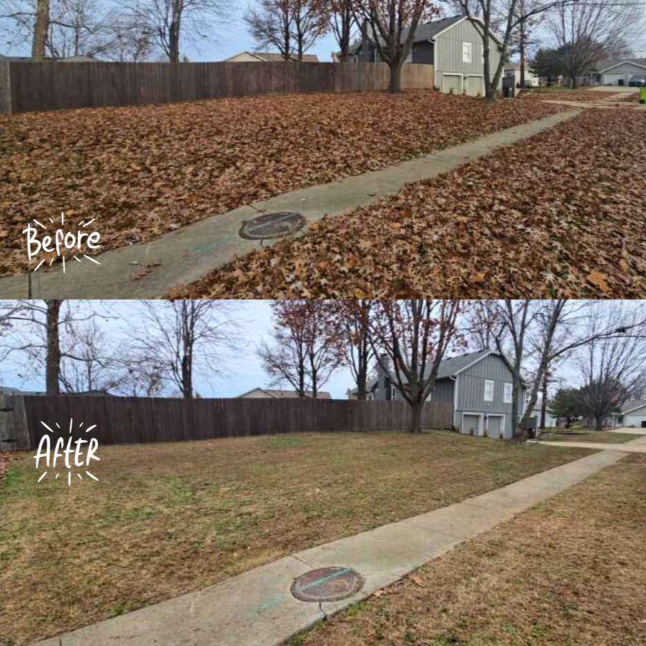 Comparison of front yard before and after landscaping: the yard was covered with leaves in the before image, and the leaves have been cleared, leaving a trimmed lawn in the after image. The sidewalk and manhole cover remain visible in both images.