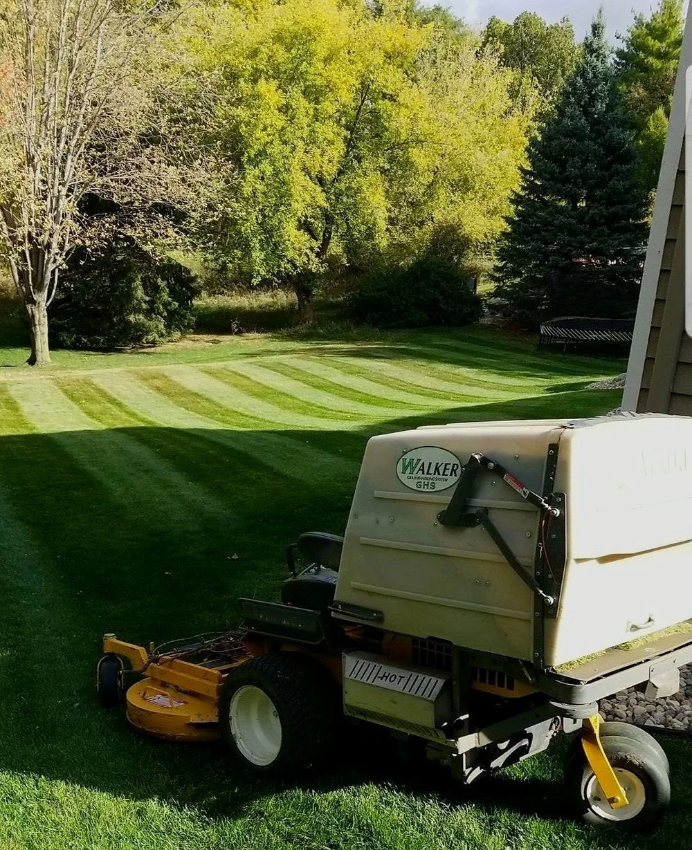 A lawn being mowed with a riding mower on a lush green yard surrounded by trees.