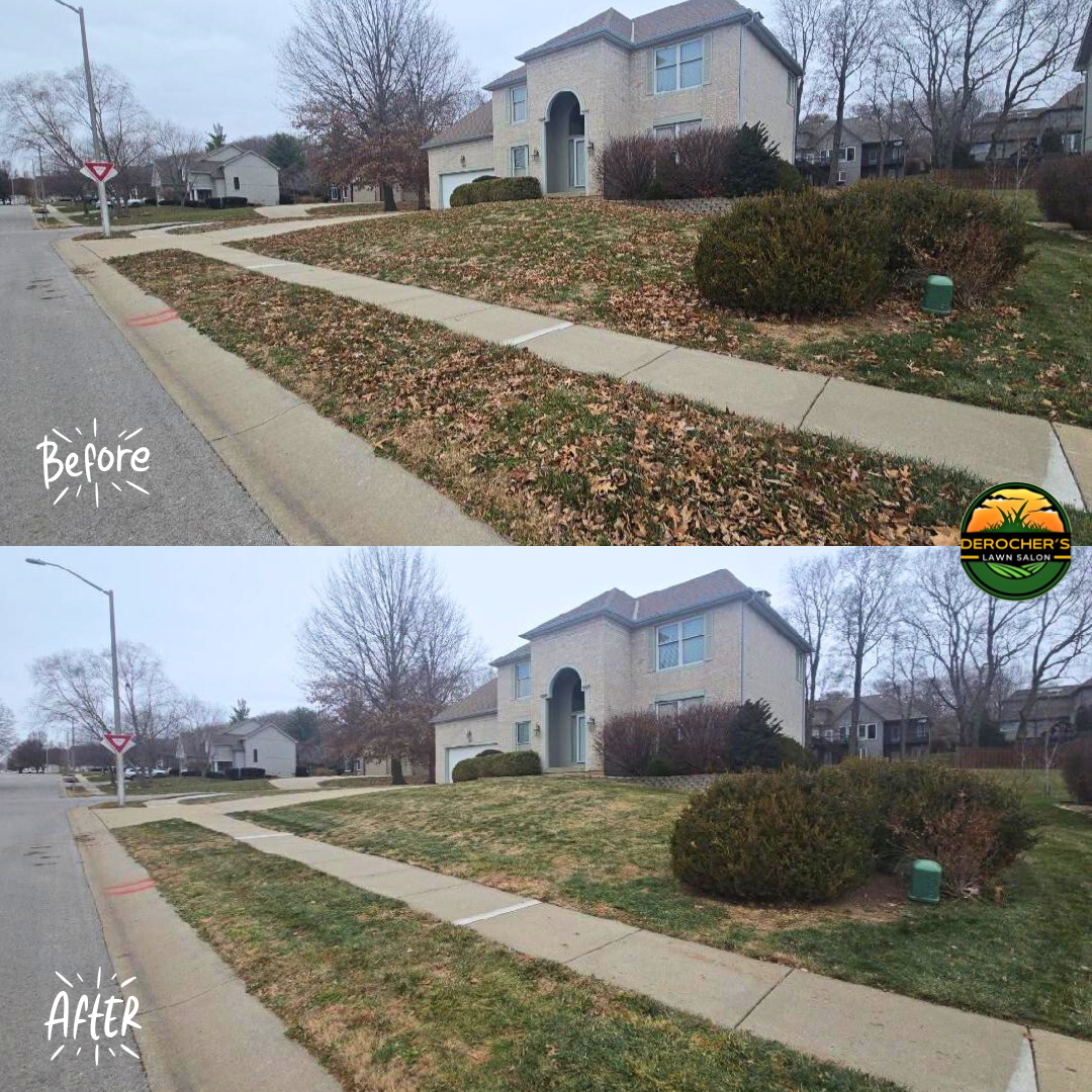 Sidewalk and lawn after lawn care, showing cleaner grass with less leaf debris, in front of a house.