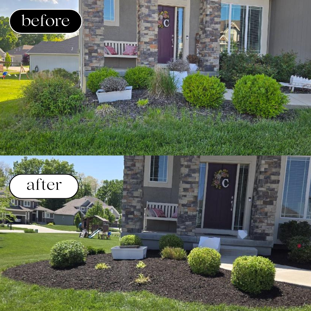 Before and after photos of a front yard landscaping transformation, showing a change from overgrown bushes to a neatly landscaped garden with mulch and new bushes.
