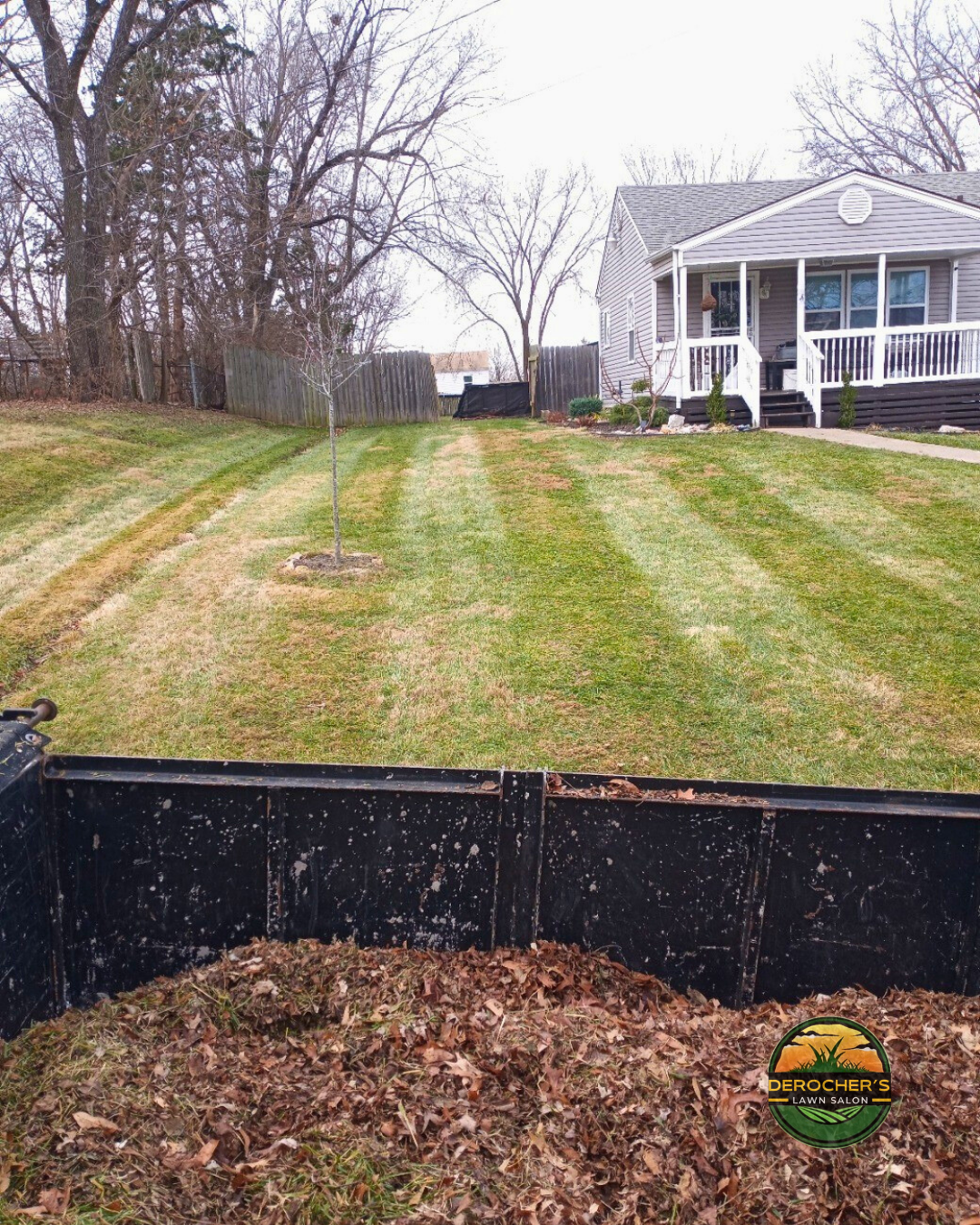 A freshly cut backyard with striped green and brown grass, a small young tree in the center, a wooden fence on the left, a white house with a porch on the right, and a black debris/leaf collection bin at the foreground in the yard. The sky is overcas