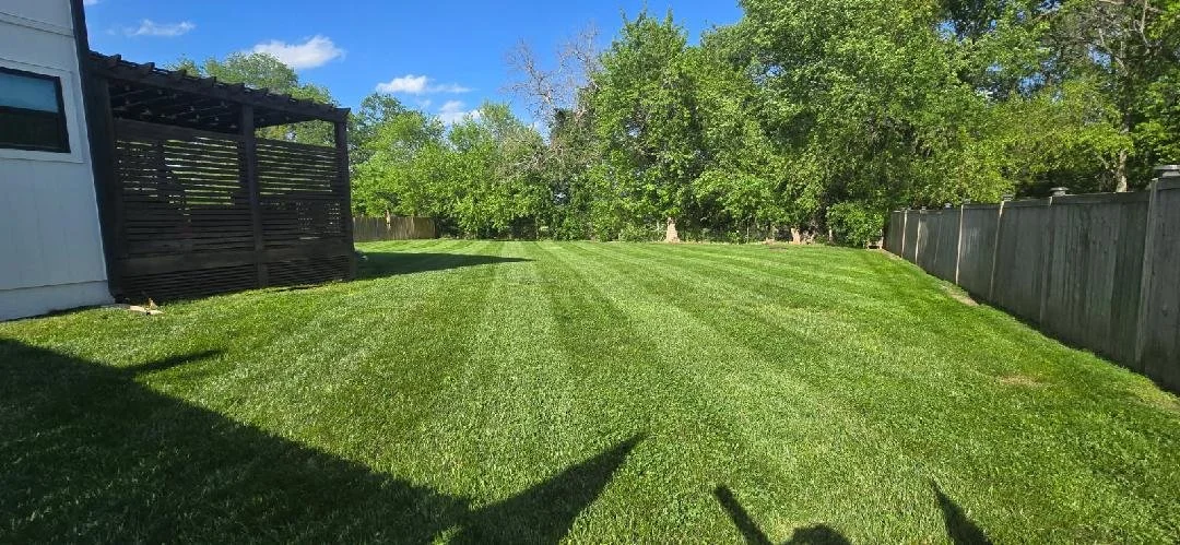 A well-maintained green backyard with freshly mowed grass, bordered by a wooden fence, with trees in the background and a blue sky with a few clouds.