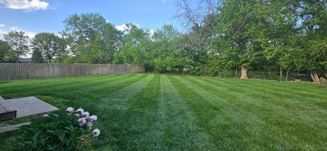 A lush green backyard with evenly mowed grass, a wooden fence along the left side, and large trees in the background under a clear blue sky.