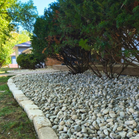 Landscaped yard with a bed of smooth rocks bordered by concrete edging, with shrubs and trees in the background.