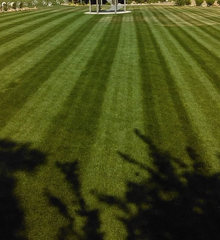A well-maintained golf course with neatly mowed grass and striped patterns, with trees casting shadows in the foreground.