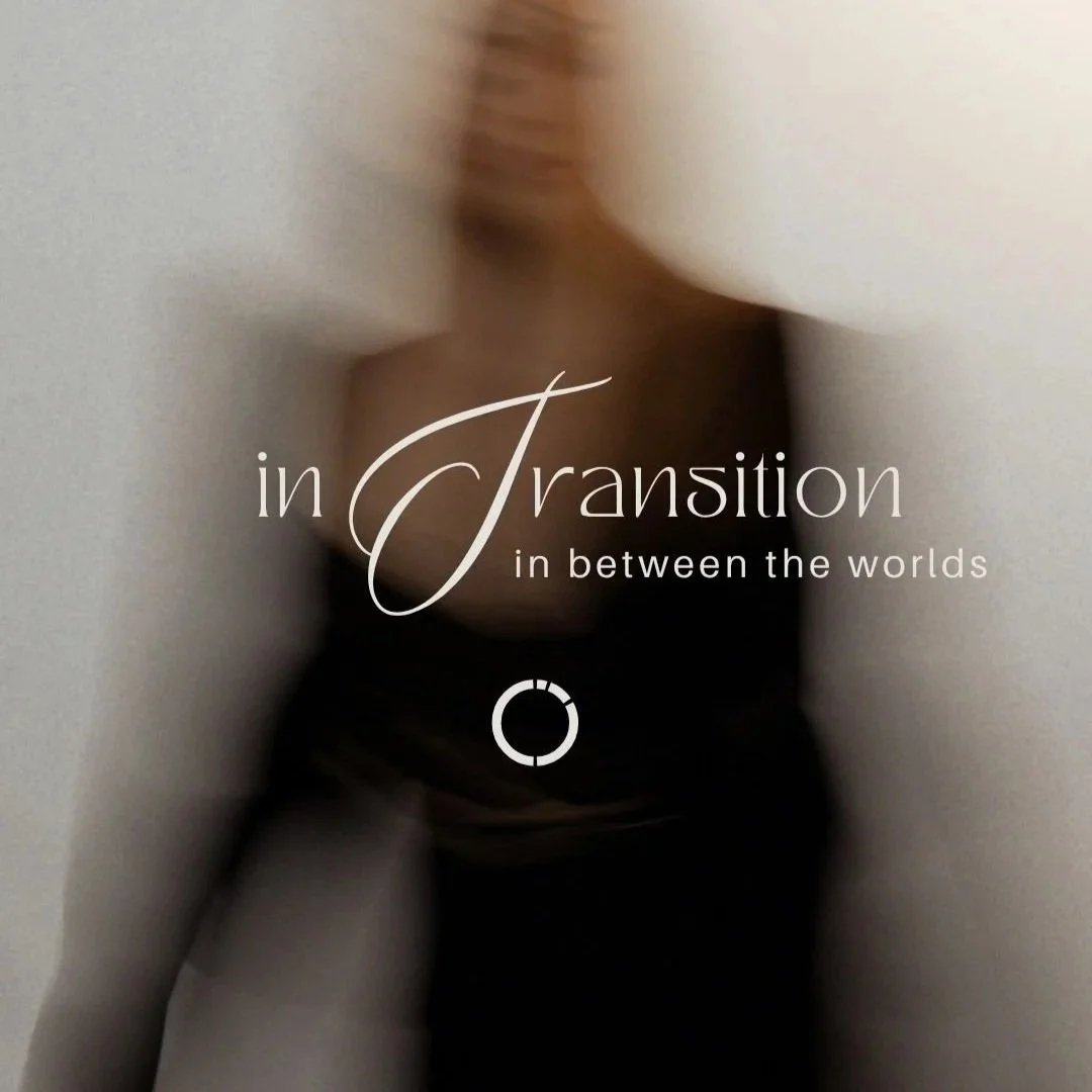 in+transition2.jpg