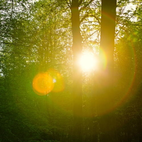 Mein Branding passt nicht mehr – wo fange ich an?