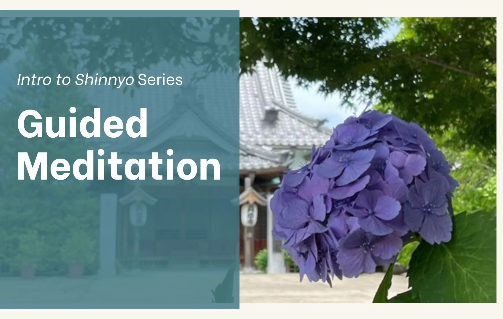 Intro to Shinnyo Series: Guided Meditation