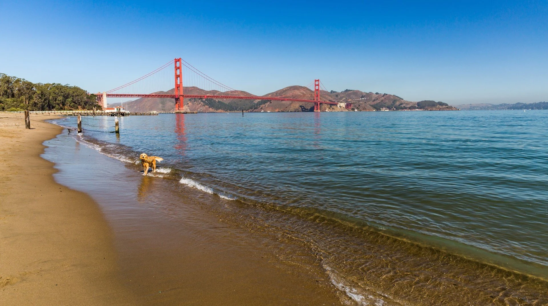 bigs-West-Crissy-Field-Beach-View-To-Golden-Gate-Bridge-127155044-Large.jpg