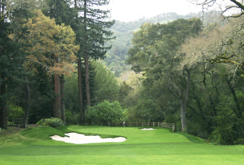 Screenshot 2024-10-15 at 11.07.43 AM.png