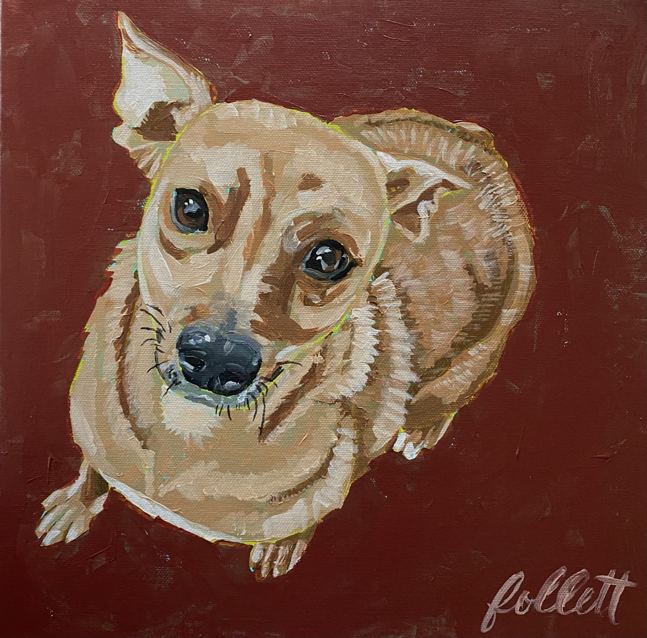 Custom Pet Portrait – 8x8 Medium Canvas