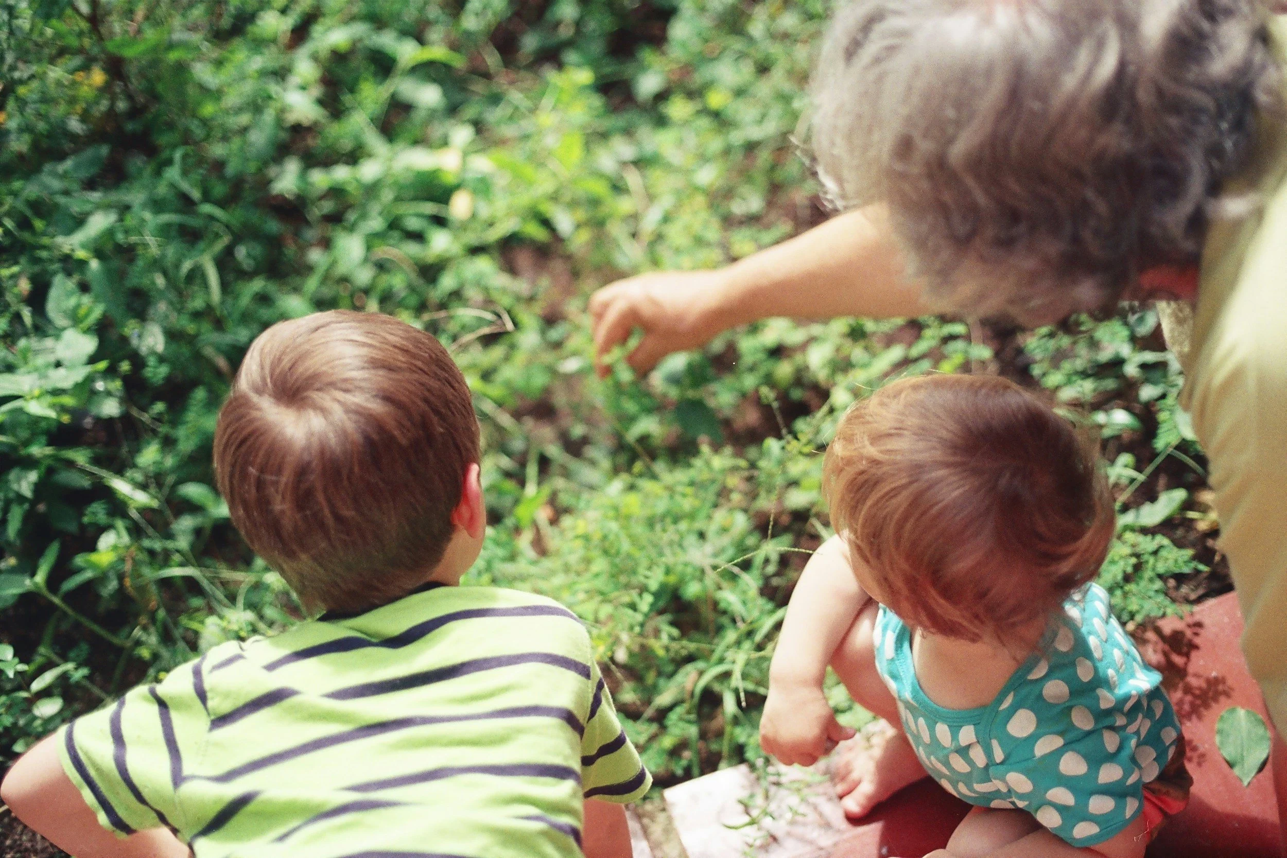 Grandparent sharing memories outside with grandchildren
