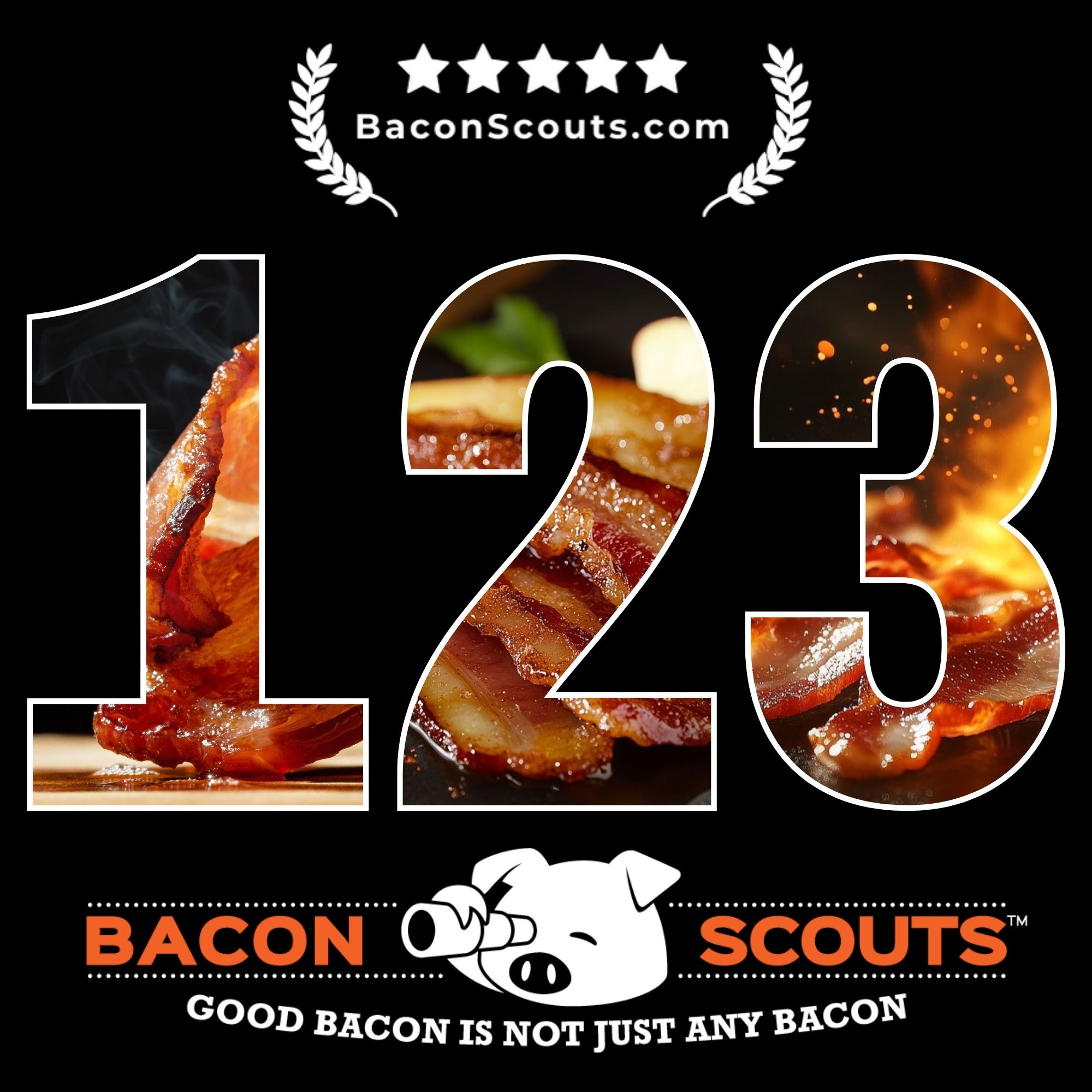 Bacon-Bundle-Bacon-Scouts-product.jpg