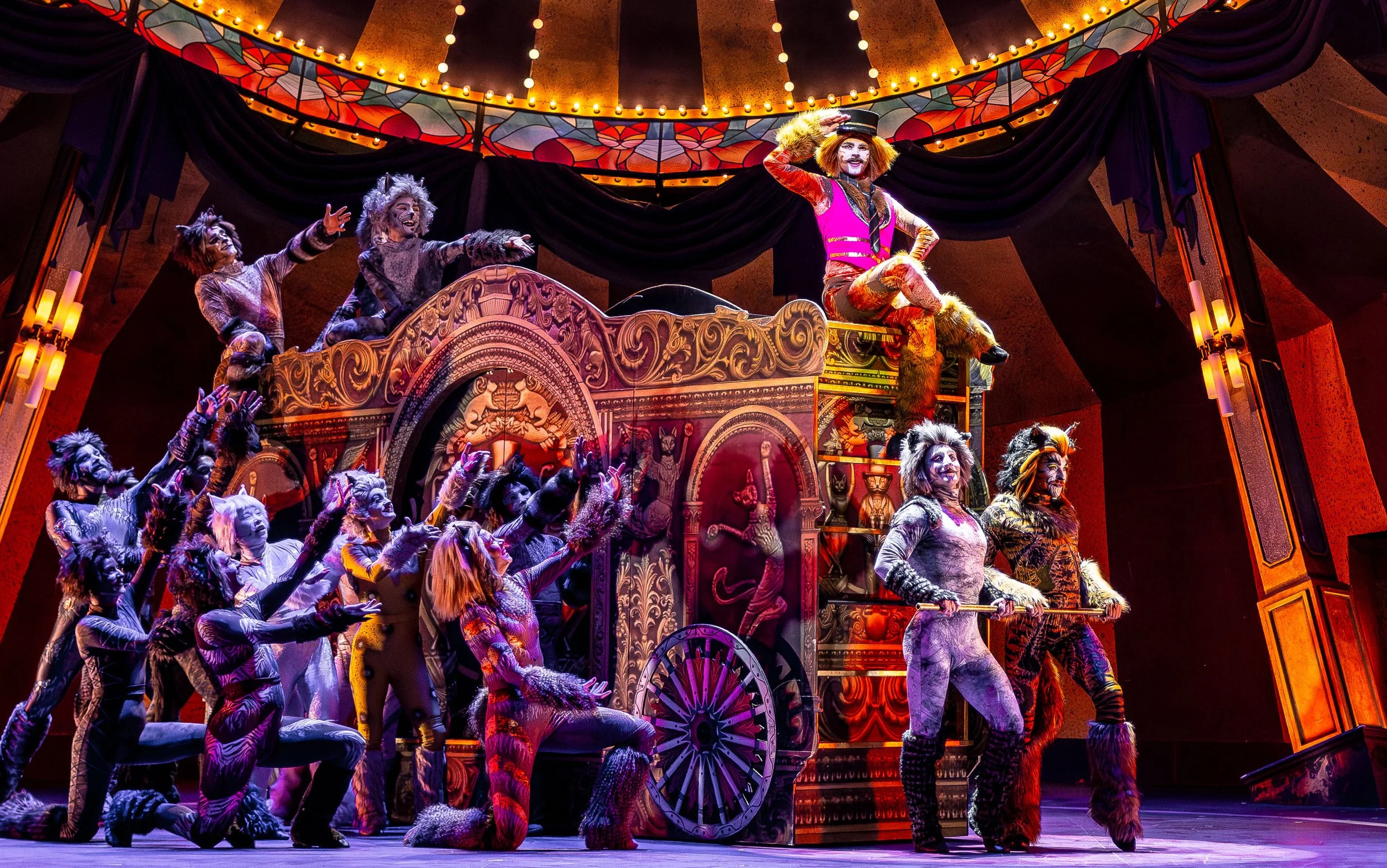 Paramount Theatre: Cats Review